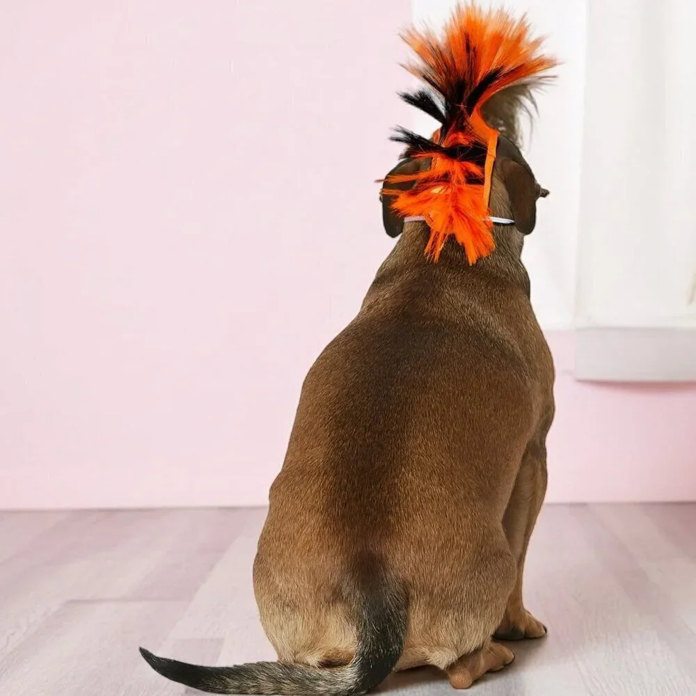 Rubies Pets this mohawk